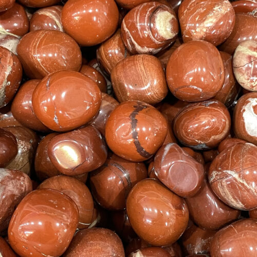 7337