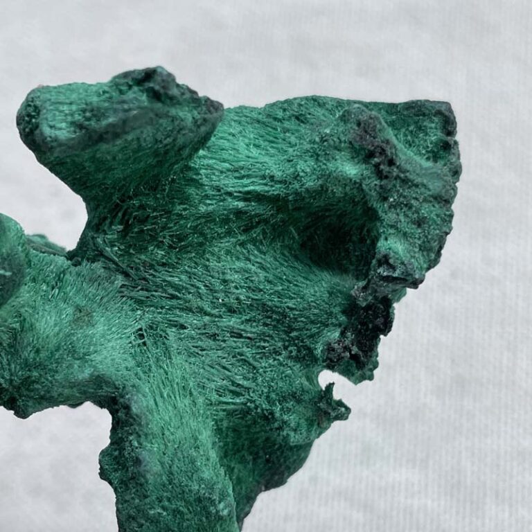 10989