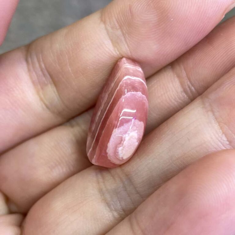 11310