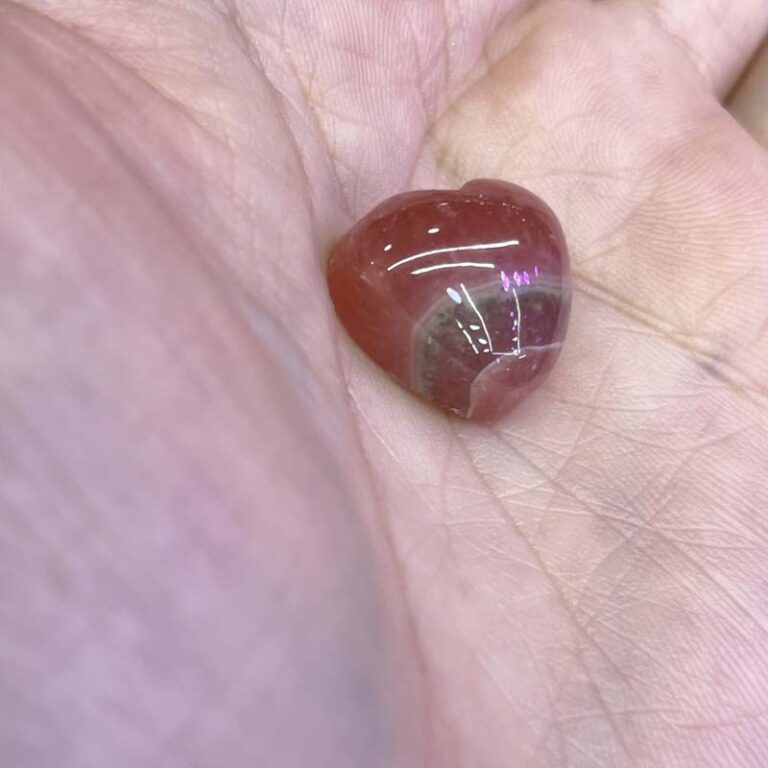 11313